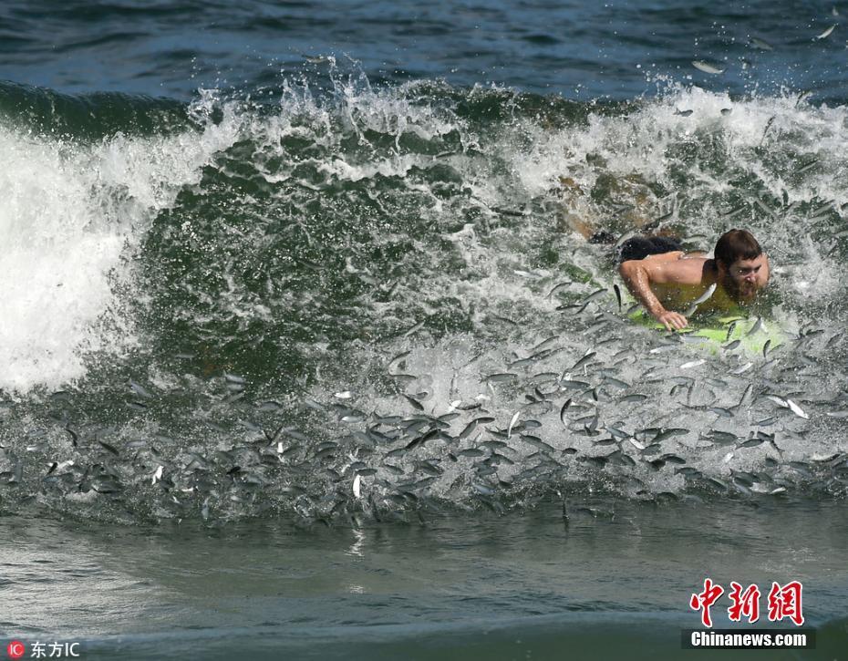盐和避难所